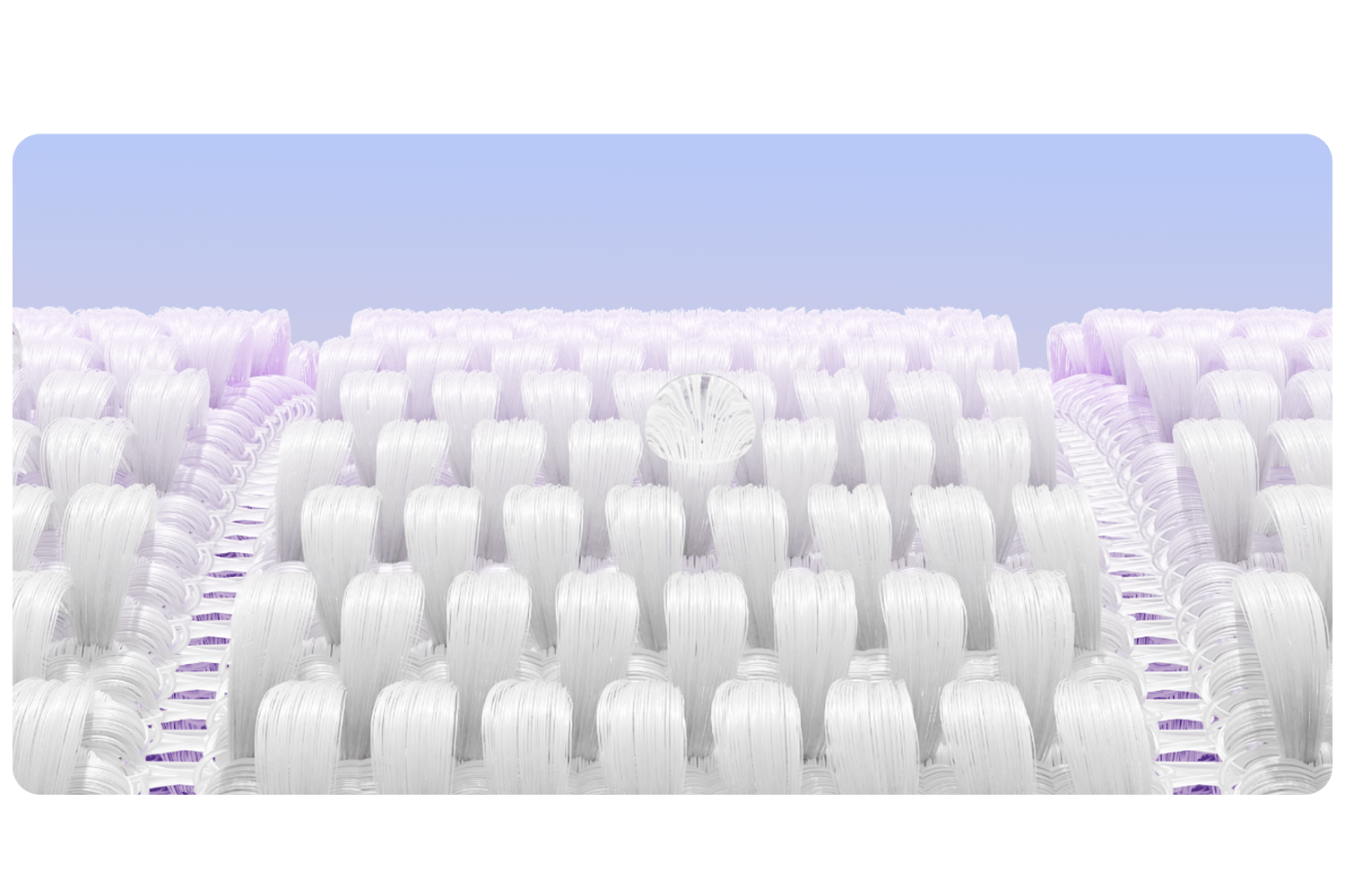 自在呼吸 輕快開跑